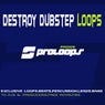 Destroy Dubstep Loops