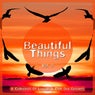 Beautiful Things, Vol. 9 (A Collection of Lounge & Chill out Grooves)