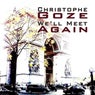 We'll Meet Again