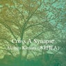 Cross A Synapse