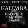 Kalimba (BlackChild Sensation)