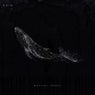 Mariana Trench