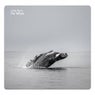 The Whale