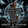 The Chant of Acida (Disscut Remix)