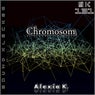 Chromosom