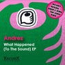 Andrez - What Happened (To The Sound) EP