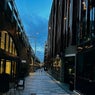 City Lights