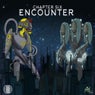 Encounter