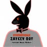 Zaycev Boy(Stream Noize Remix)