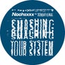 Sin Bliss / Smashing Your System