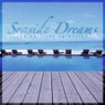 Seaside Dreams - The Chillout Selection