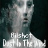 Dust In The Wind