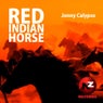 Red Indian Horse