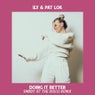 Doing It Better (SMBDY AT THE DISCO Remix)