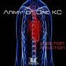 Ejection Fraction