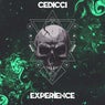 Experience