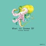 What It Seems Ep