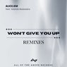 Won't Give You Up (Remixes)