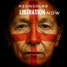 Liberation Now