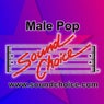 Karaoke - Classic Male Pop Vol. 21