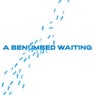 A Benumbed Waiting