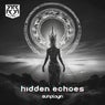 Hidden Echoes