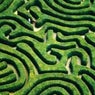 Maze