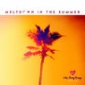 Meltdown in the Summer