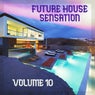 Future House Sensation, Vol.10 (BEST SELECTION OF CLUBBING HOUSE TRACKS)
