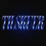 Tilskuer