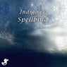 Spellbind
