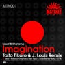 Imagination Matinee Remix