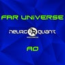Far Universe