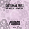 My Way Of Loving You (Inc. Hiast Remix)