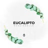 Eucalipto