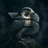 Falcon