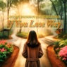 If You Lose Way (feat. Diana Sh)