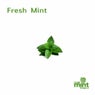 Fresh Mint