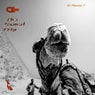 The Camel Trip
