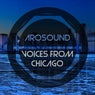 Voices From Chicago
