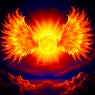The Sun Is a Bird