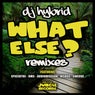 What Else Remixes