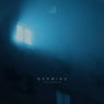 Insomnia