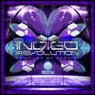 Indigo Revolution - Compiled By DJ Zaghini