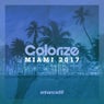 Colorize Miami 2017