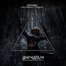 I Do What I Want (Extended Mix)