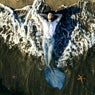 Sirena