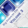 Big Room In The House Volume 3 (Compiled by DJTL)