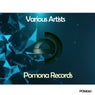 Various Artists Fall