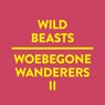 Woebegone Wanderers II